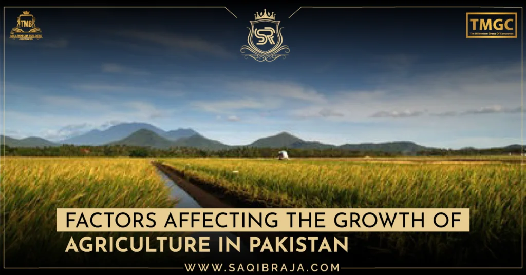 Agriculture Share in GDP of Pakistan : The Backbone of the Economy