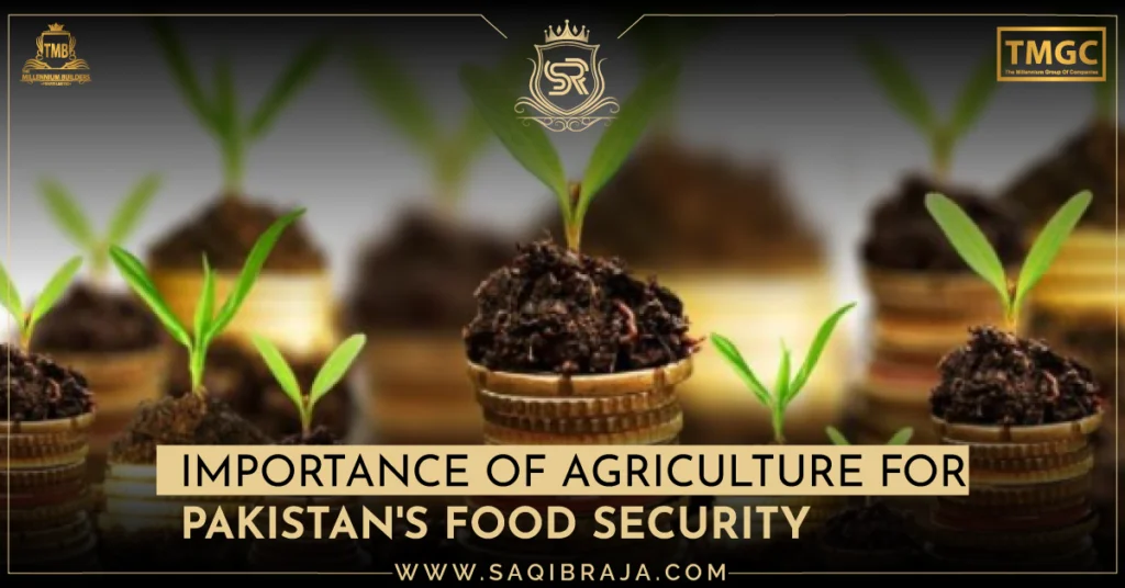 Agriculture Share in GDP of Pakistan : The Backbone of the Economy